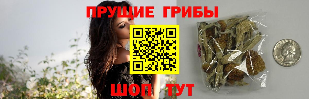 Галлюциногенные грибы Magic Shrooms  Вход с VPN  Прохладный 