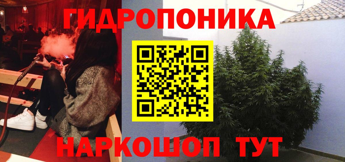 Каннабис марихуана Прохладный